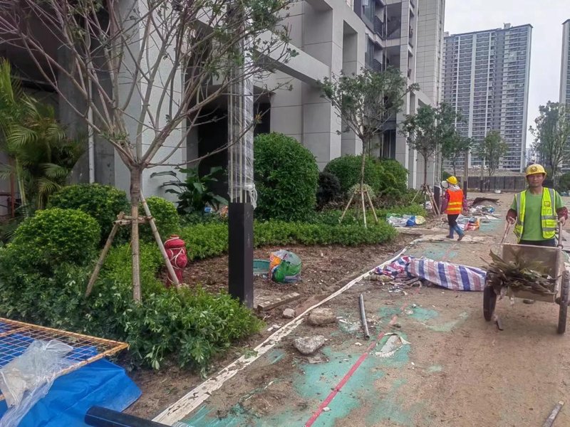 园林绿化的魅力及其发展趋势