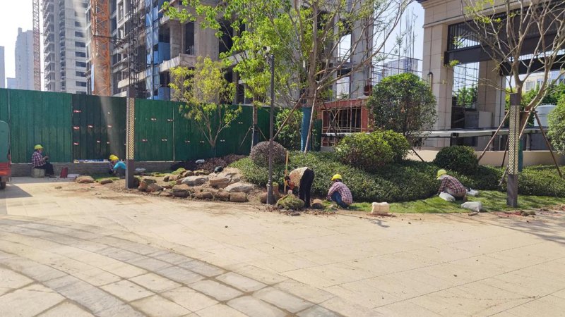 园林绿化工程:城市绿肺的新篇章